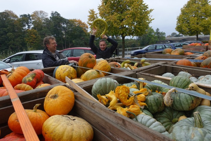 micke_pumpor_DSC00397