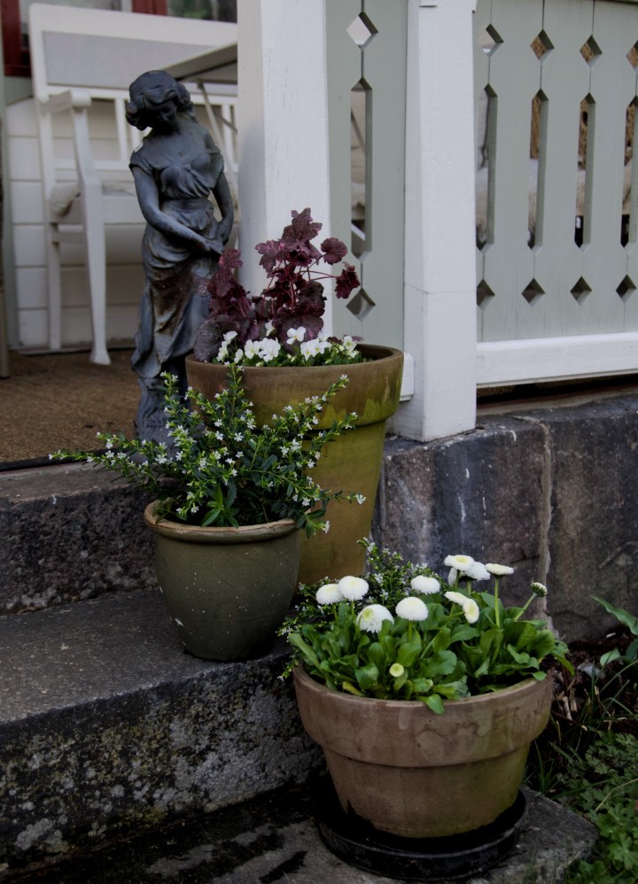 verandakrukor6G8A8699