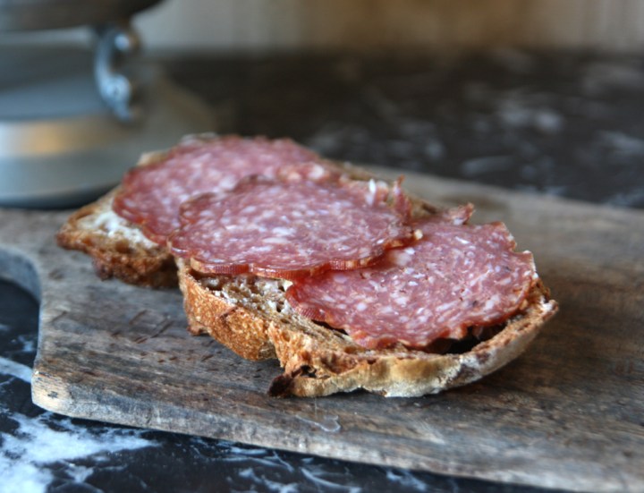 ostronskivling_macka_4612