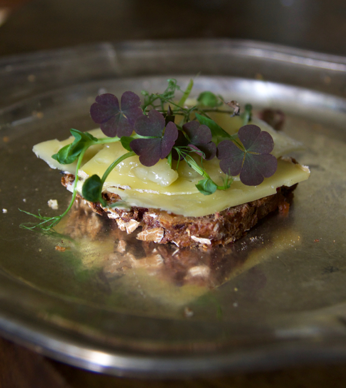 oxalis_macka_6G8A3938