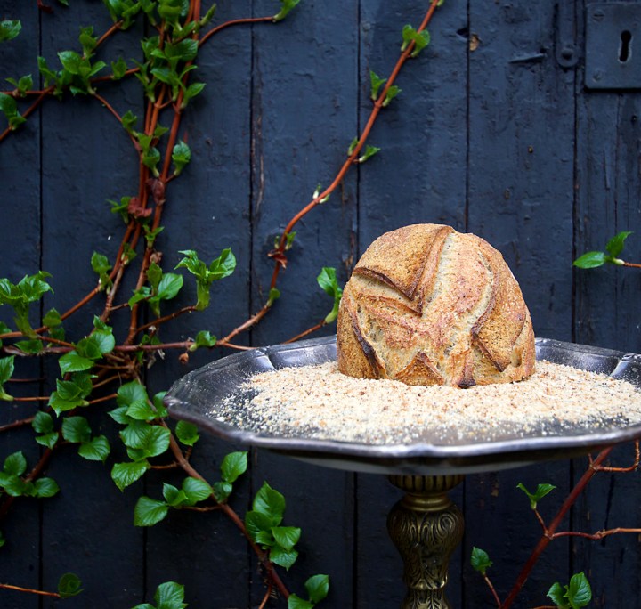 strobrodet_pelare6G8A6269