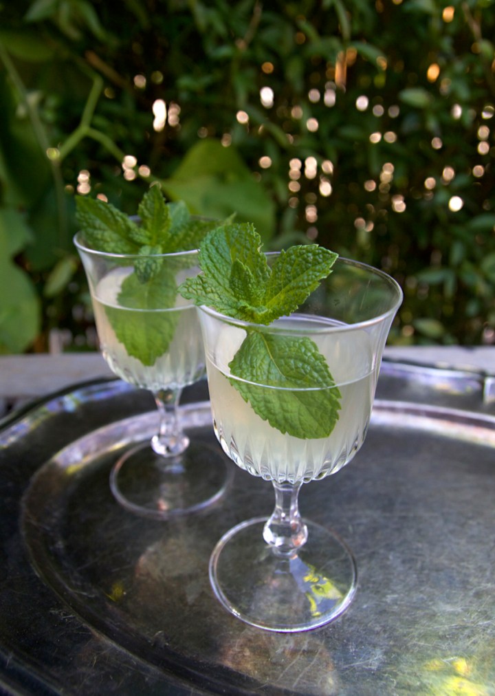 kombucha_bricka6G8A6743