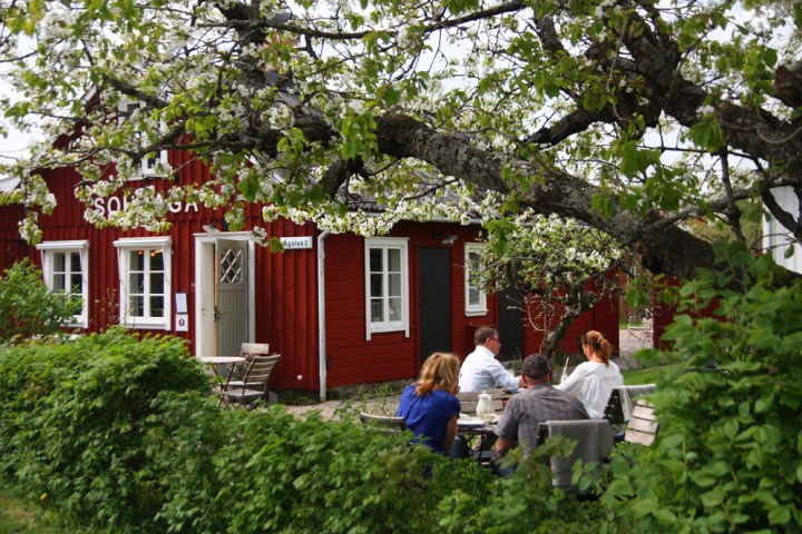 solhaga_fika_0890
