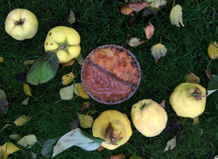 kvitten_marmelad6G8A7661