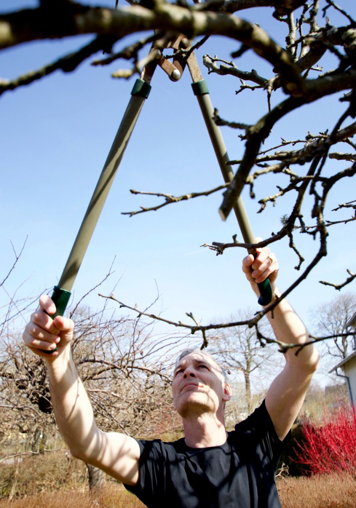 ante_klipper6G8A5805