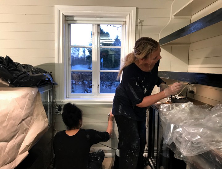 rosa_sara_malar_8772