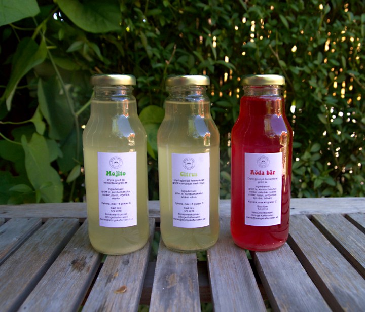 kombucha_smaker6G8A6734