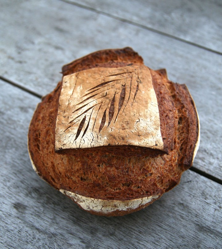 morot_fankal_6G8A1786