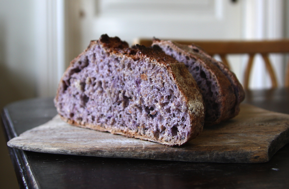 Levain med blåbär & rostade linfrön – Sara bakar