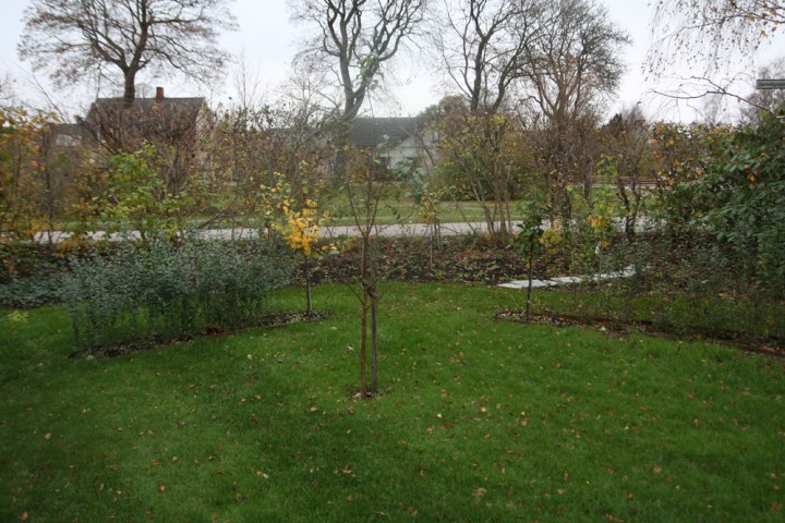 tradgard_kvittenlunden_4697