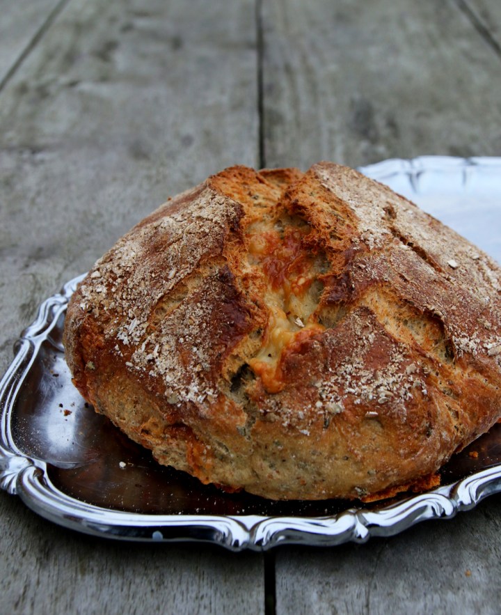 gronkal_bondost_6G8A1985