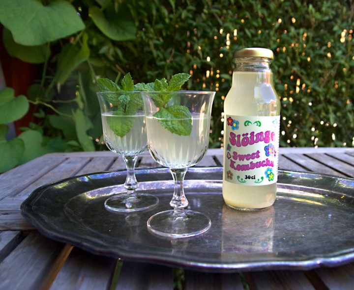 kombucha_flaska6G8A6740