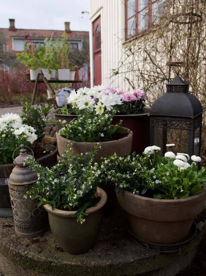 brunnslocket6G8A8674