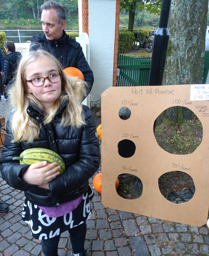 pumpa_myra_ante00422