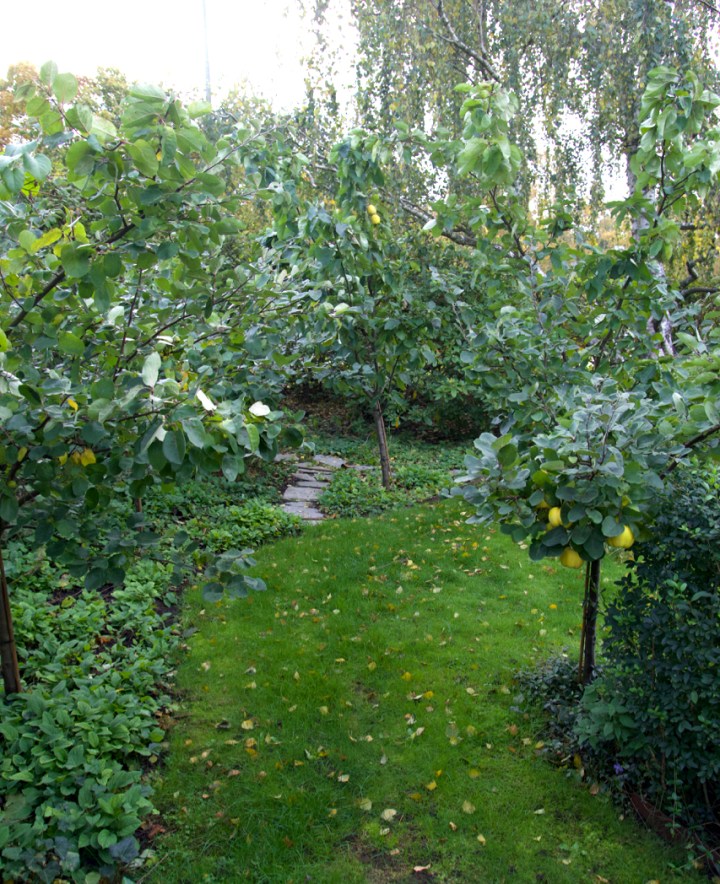 kvittenlunden6G8A7653