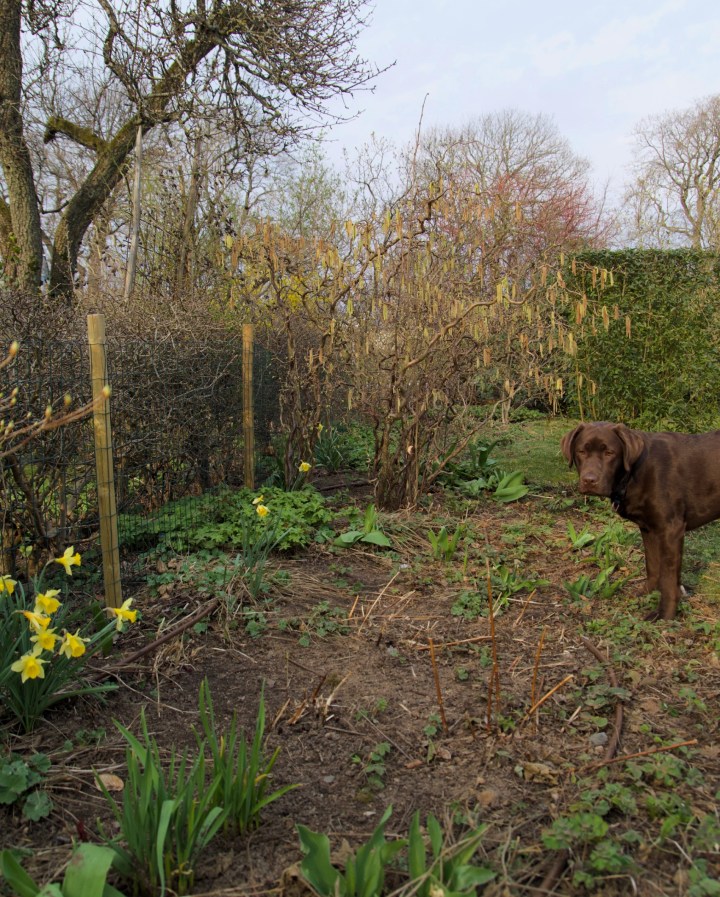 benny_rabatt6G8A8687