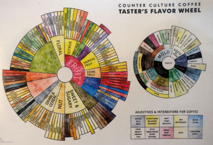 flavour_wheel