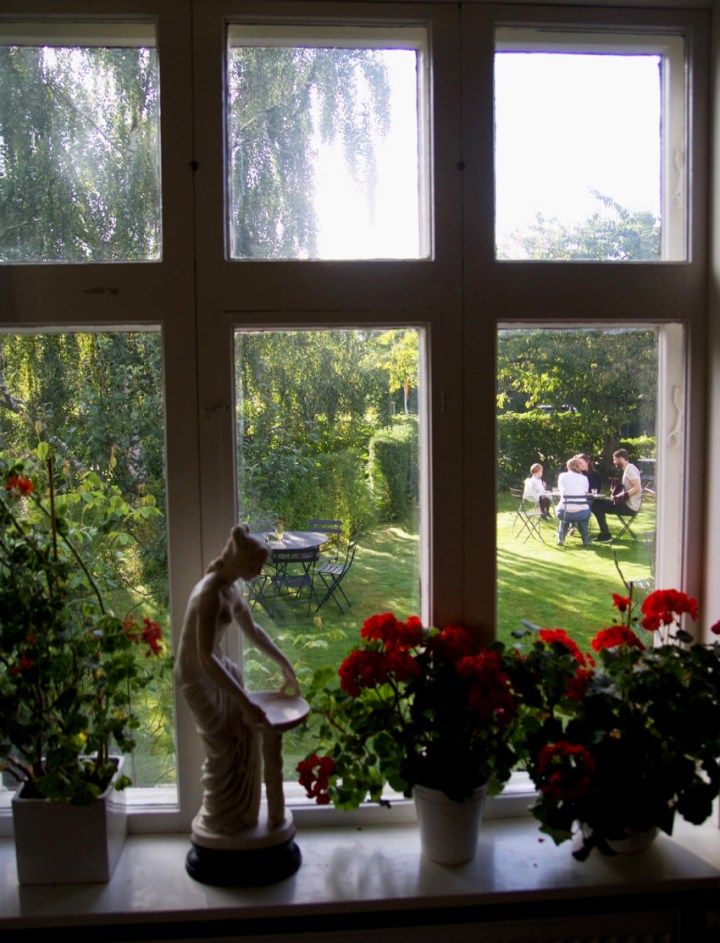 01_pelargon_6G8A3808