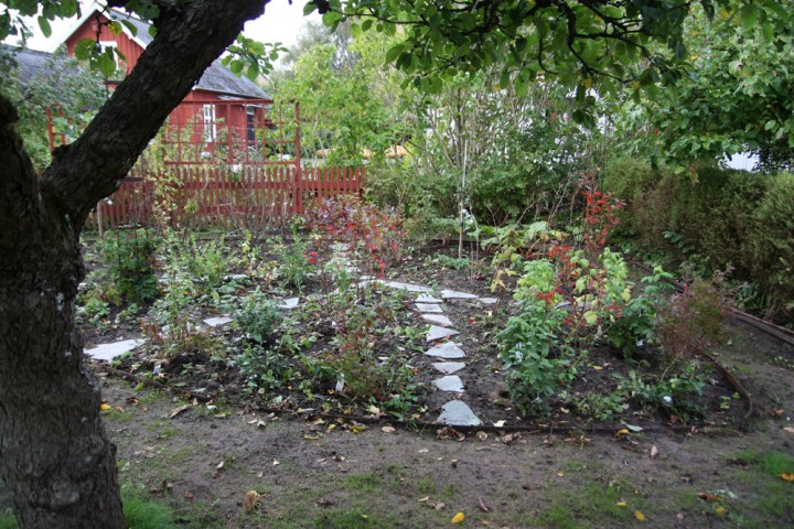 frukttradgard_4514