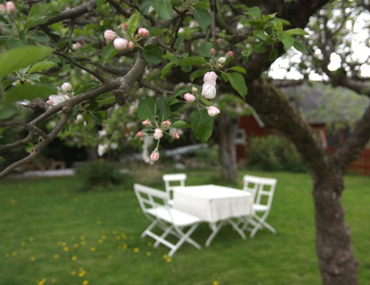 appelblom_0943
