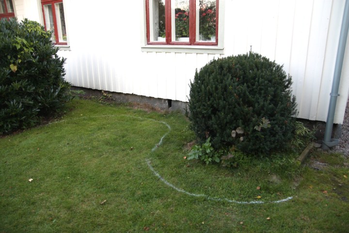 rosenhornet_före_2355