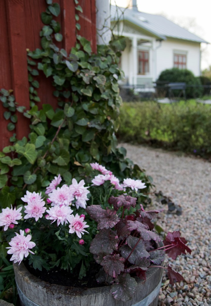 entre_solhaga6G8A8706