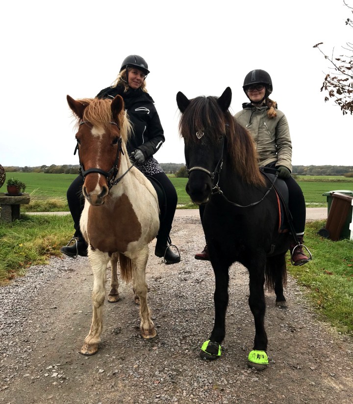 sara_myra_islandshast_7749