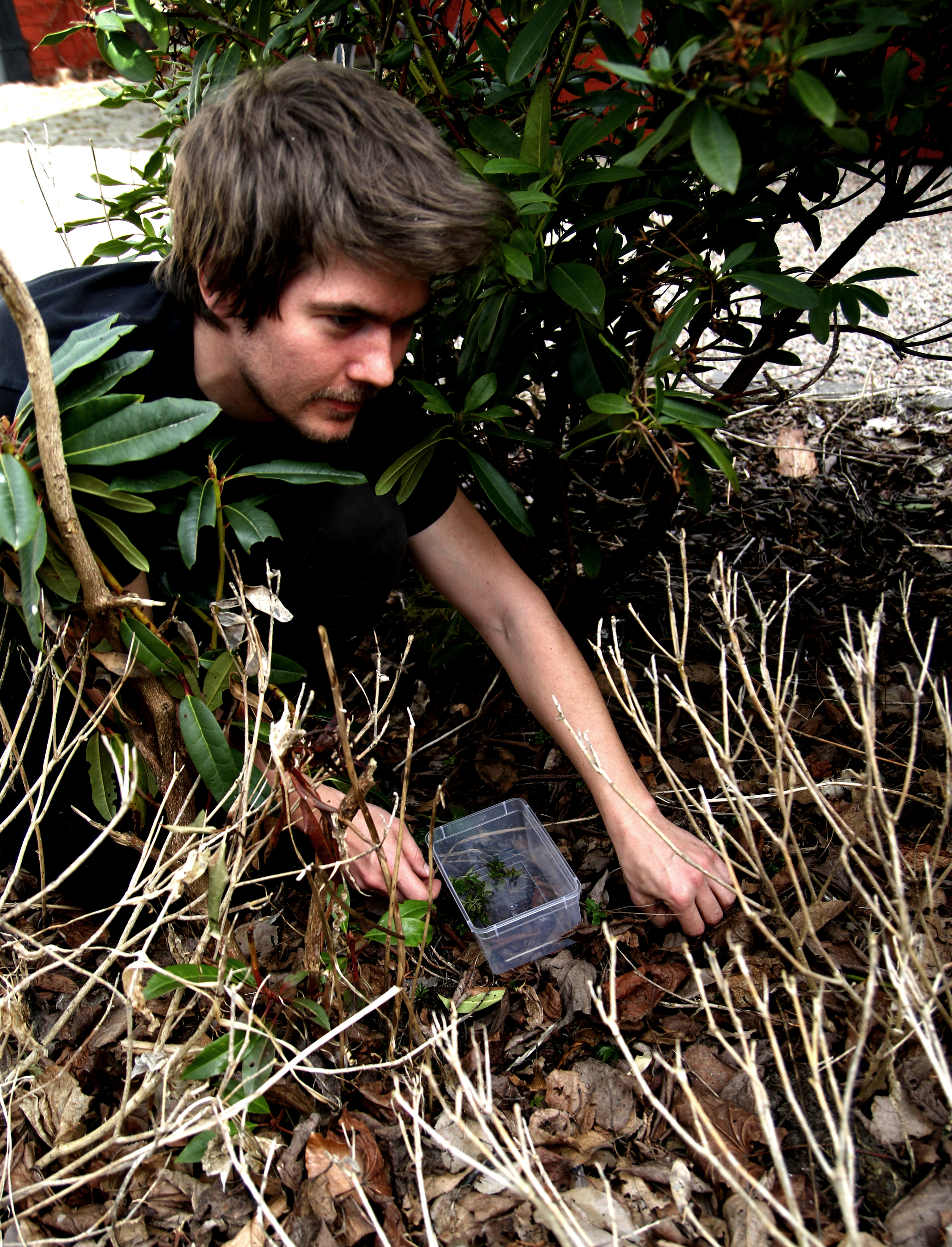 mattias_plockar_6G8A2389