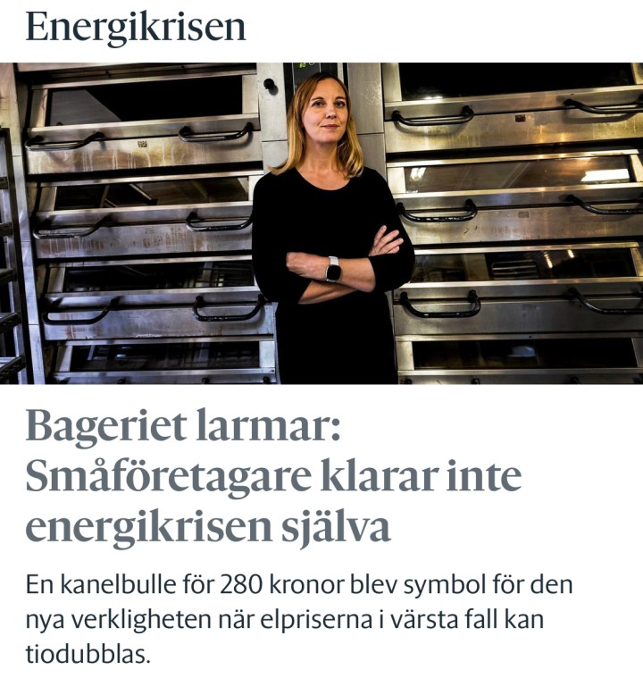 sara_hn_energikris_1672