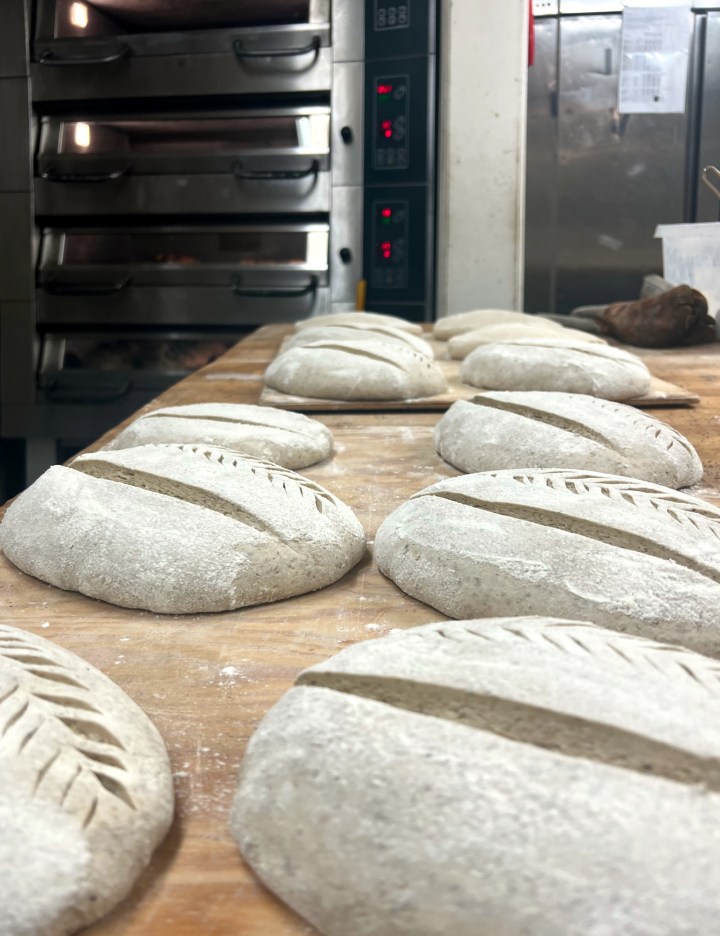 sloingebrod_snitt_3143