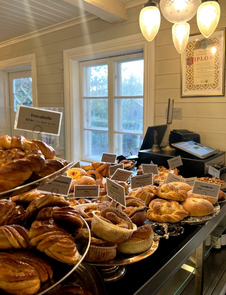 solhaga_fikadisk_3169