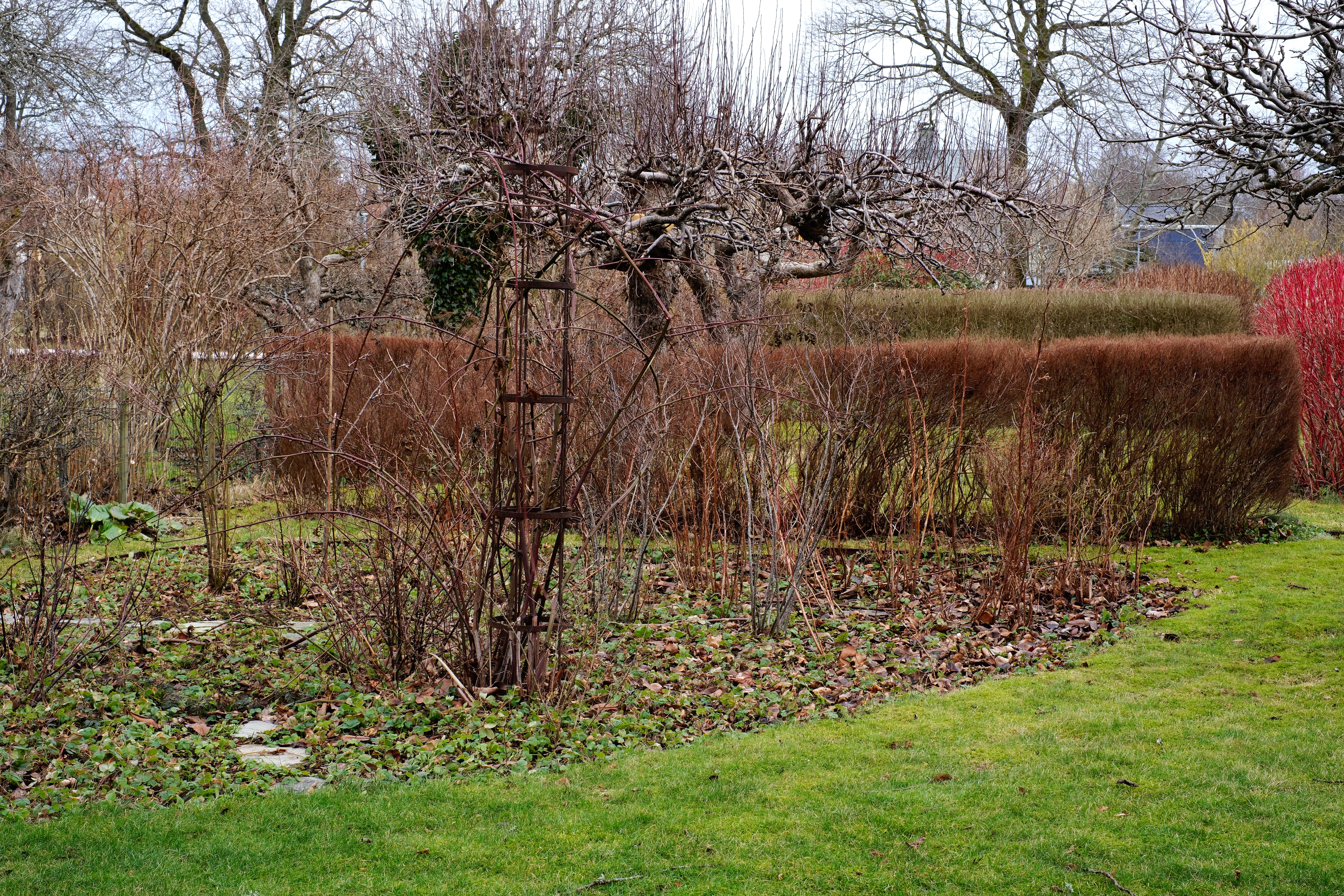 bartradgardenDSCF4039