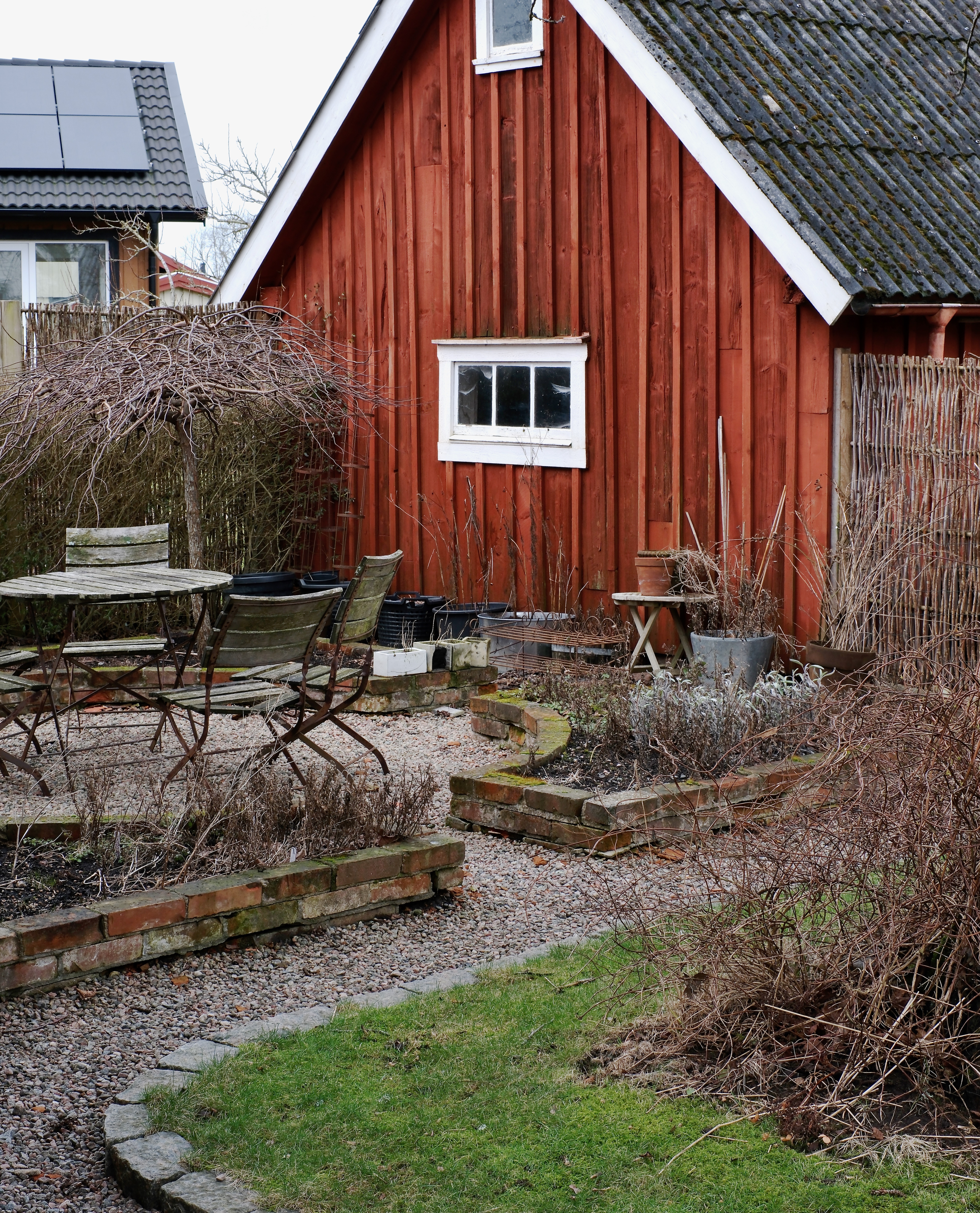 kryddtradgardenDSCF4027