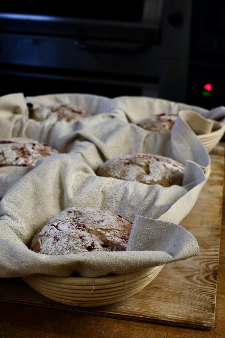 lingonochapple_korg_DSCF3889