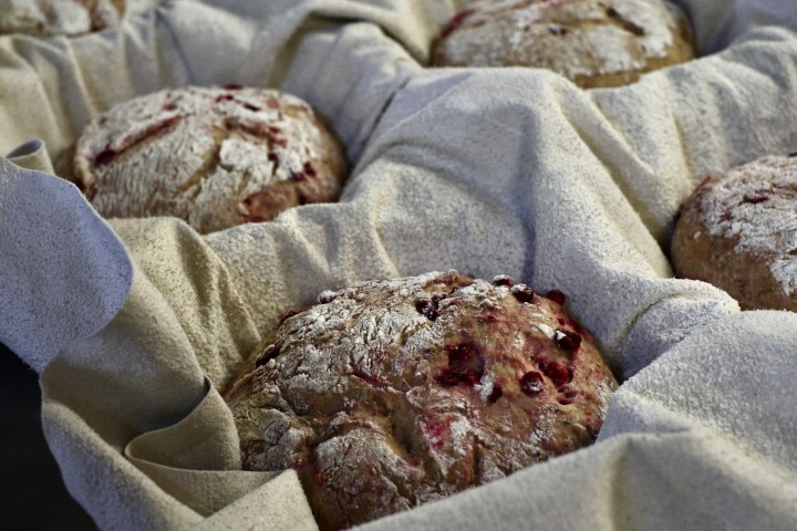 Lingonochapple_korgDSCF3892